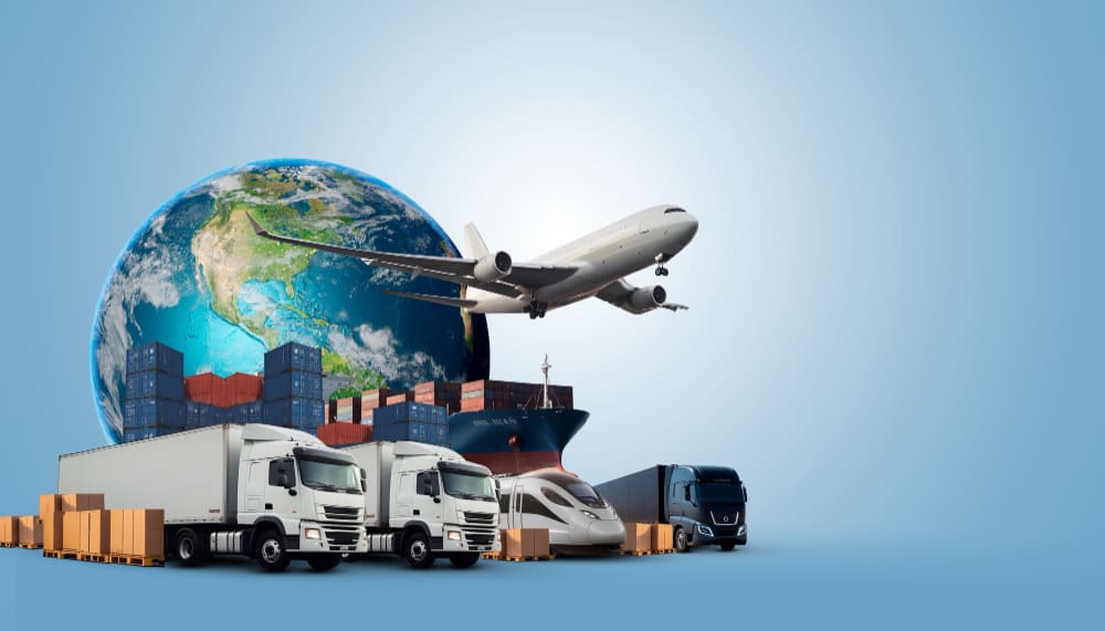 Image of the team member